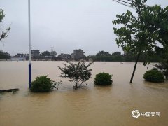 广东龙门遭遇大暴雨 房屋