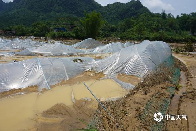 入汛以来最强降雨侵袭贵州罗甸 多地庄稼被淹