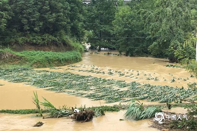 入汛以来最强降雨侵袭贵州罗甸 多地庄稼被淹