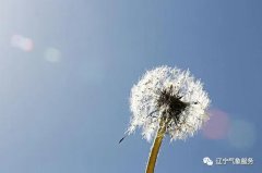 辽宁省气象台发布今（1