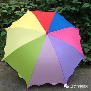 高温+雷雨!辽宁省气象台发布今(11日)起未来三天天气预报
