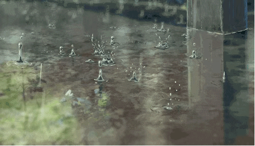 大雨暴雨上线!河南省气象台发布今12日起未来三天天气预报