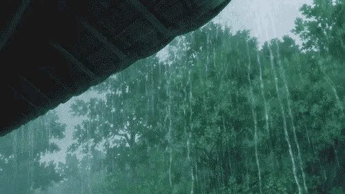 雷雨大雨+暴雨!安徽气象台发布今12日起未来2天天气预报