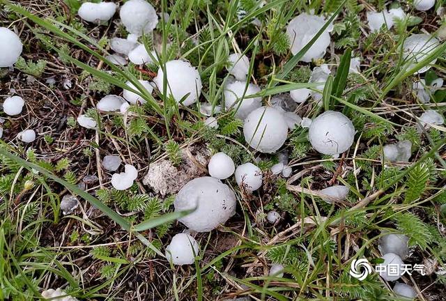 创纪录冰雹袭青海玛沁 车窗破碎屋顶被击穿