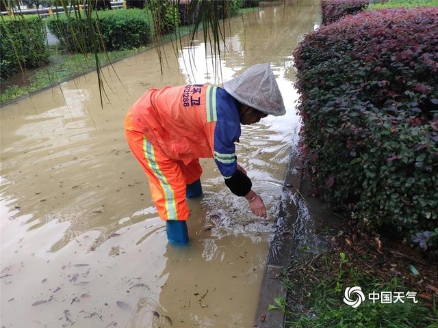 暴雨袭城!云南罗平县开启“看海”模式