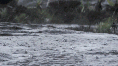 我县将有大范围暴雨到大