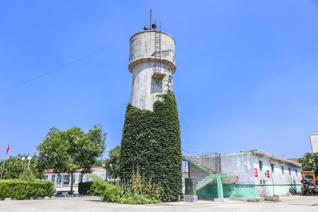 山东沿海保存最好面积最大古村落，在烟台龙口，评为中国传统村落