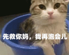 最近这天气可太热了！ 热