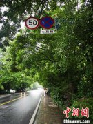 浙江迎来了新一轮强降水