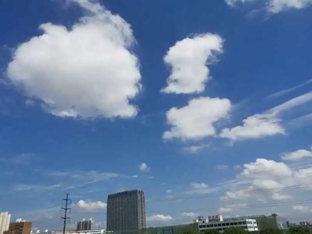 快讯！苏州市气象台发布明（20日）起未来三天天气预报