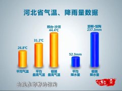 农作物生长旺盛，杂草、