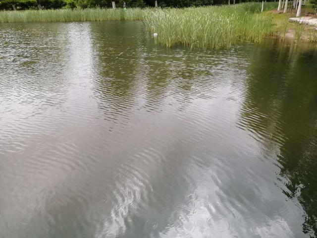 一场雨后，天气终于有了夏天的模样，心情明媚起来