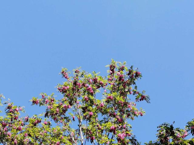 一场雨后,天气终于有了夏天的模样,心情明媚起来