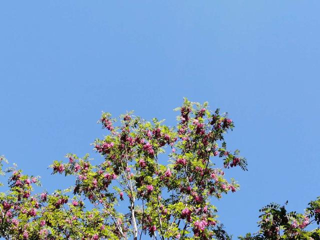 一场雨后，天气终于有了夏天的模样，心情明媚起来