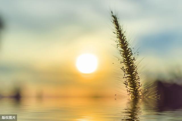 一场雨后,天气终于有了夏天的模样,心情明媚起来