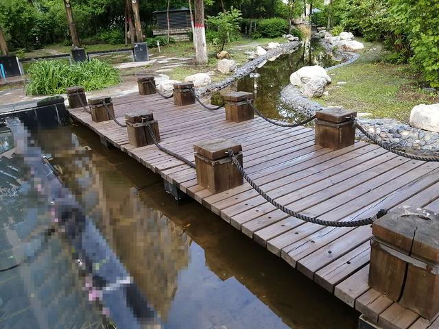 一场雨后,天气终于有了夏天的模样,心情明媚起来
