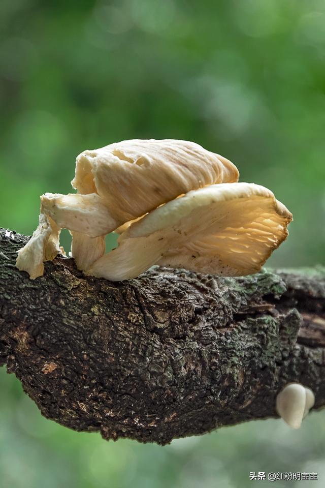 无处不在的夏日美景，处处好风光，一组摄影美图分享