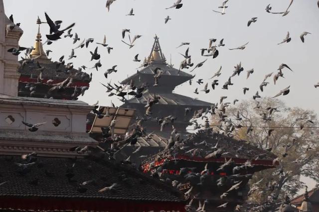 尼泊尔｜属于人和自然的国度