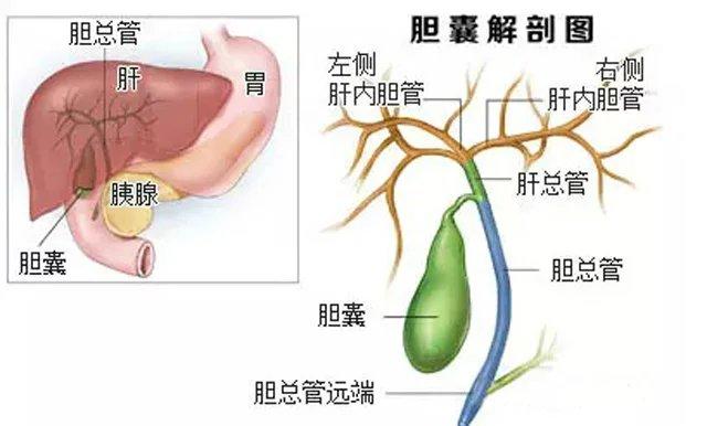 患了糖尿病还继续饮酒，会对身体产生这4个危害，现在知道还不晚