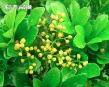 所需的水量逐渐增加
