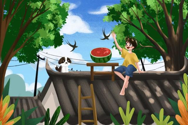 小暑时节,静以养心
