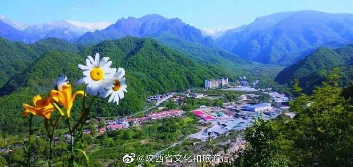 青峰峡 国家AAAA级森林公园
