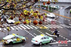 南方地区强降雨区将从江