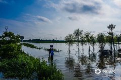 湖北洪湖市沙套湖水位高
