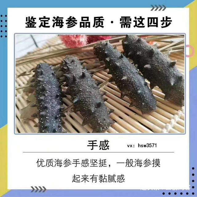 淡干海参是什么？如何挑选品质好的淡干海参？怎样吃才最有营养？