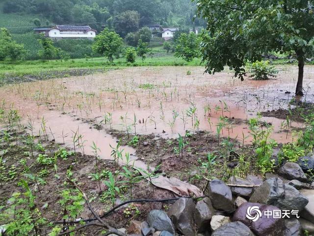 四川凉山美姑县遭遇强降雨 水位暴涨房屋损毁道路中断