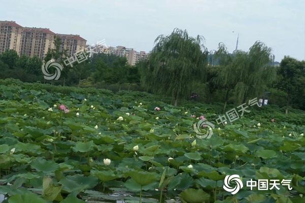 今明天安徽雨势将达鼎盛 六安芜湖等地局部有大暴雨