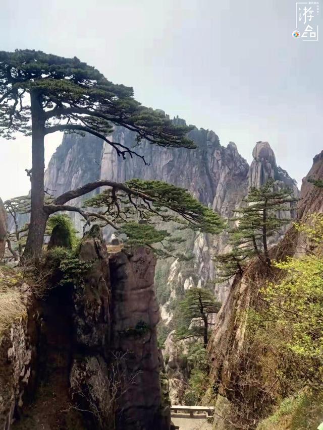 为了“黄山归来不看岳”来到安徽,错过了西递和宏村,就白来了