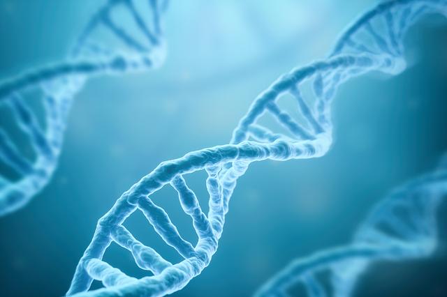 如何拥有强健肌肉?了解这些增肌知识,让你快速拥有完美身形