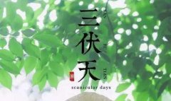 2020三伏天超长待机40天！