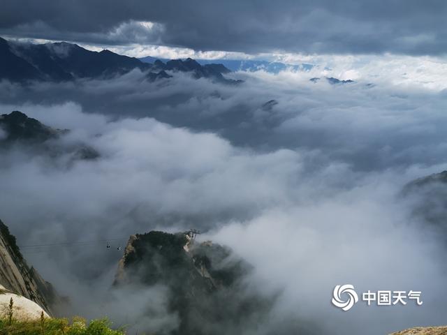 雨后初歇 陕西华山景区云海翻腾似仙境