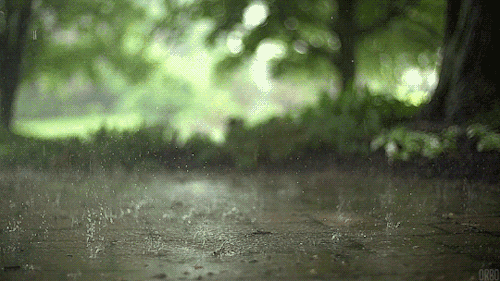 暴雨+雷电!常州“双黄”预警高挂,未来几天