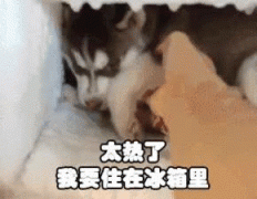 许多人都期盼来个台风降