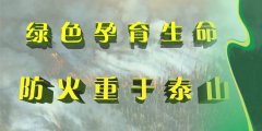 18日晚上到19日白天我县中