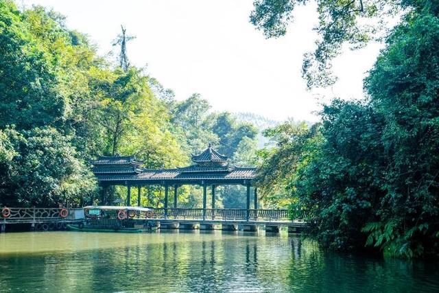 广西柳州最值得去的4A景区,以原始深山野林探险为特色,你想去吗