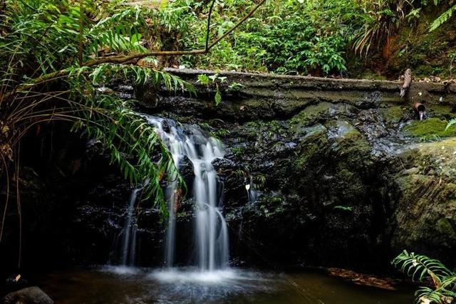 广西柳州最值得去的4A景区,以原始深山野林探险为特色,你想去吗