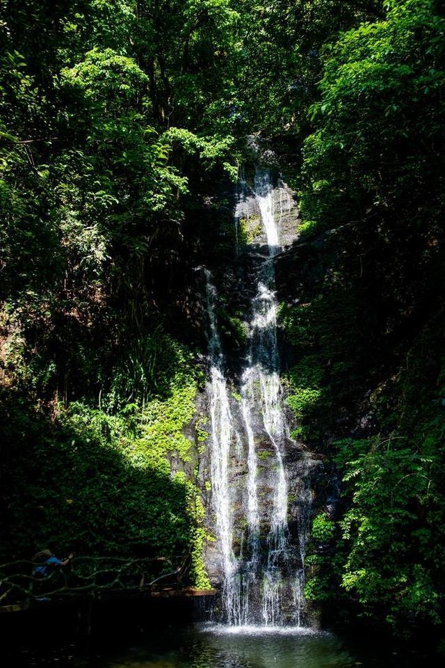 广西柳州最值得去的4A景区,以原始深山野林探险为特色,你想去吗