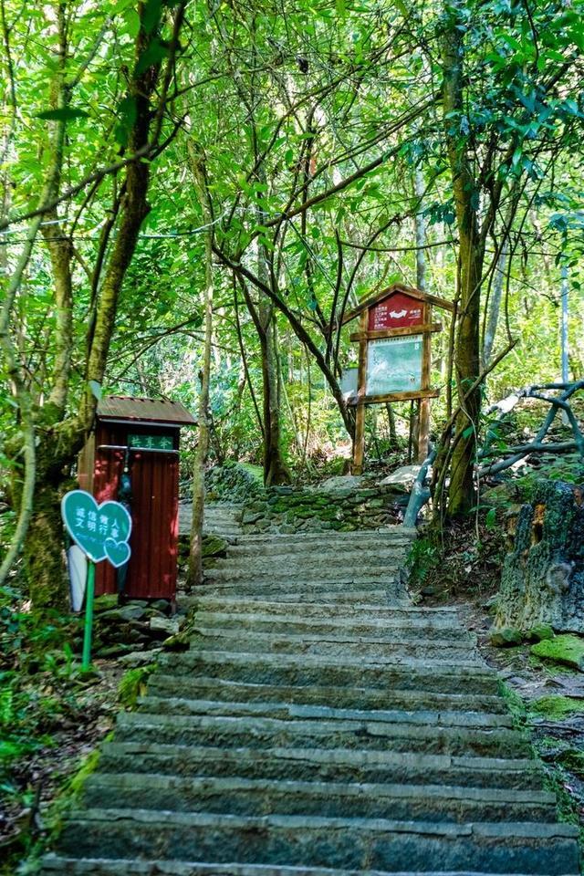 广西柳州最值得去的4A景区,以原始深山野林探险为特色,你想去吗