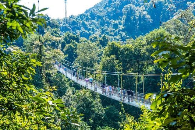 广西柳州最值得去的4A景区,以原始深山野林探险为特色,你想去吗