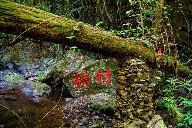 广西柳州最值得去的4A景区,以原始深山野林探险为特色,你想去吗