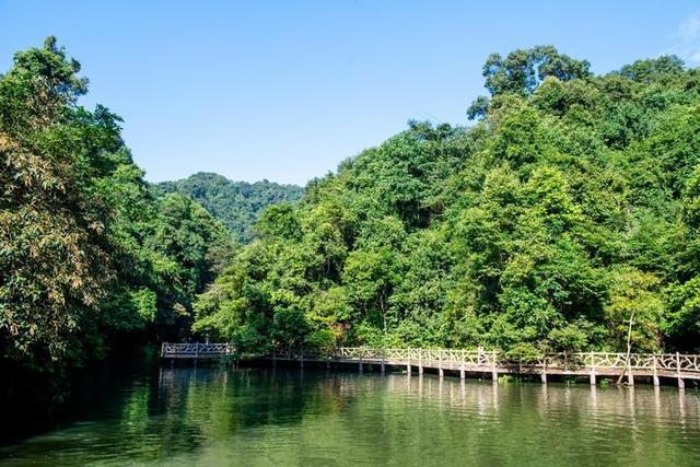 广西柳州最值得去的4A景区,以原始深山野林探险为特色,你想去吗
