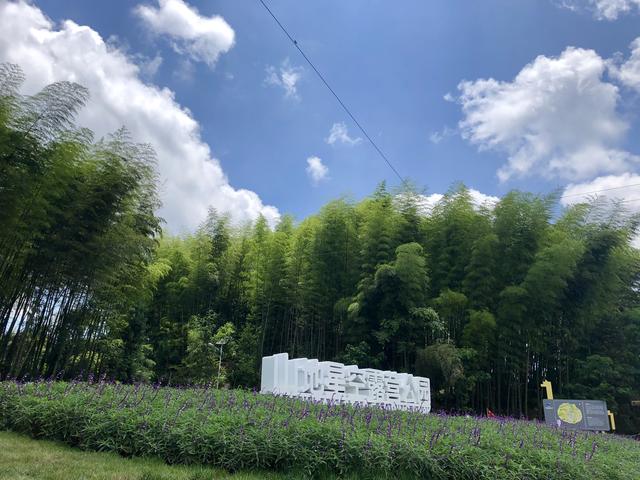 重庆周边竟有如此美景,仿佛在彩云之南