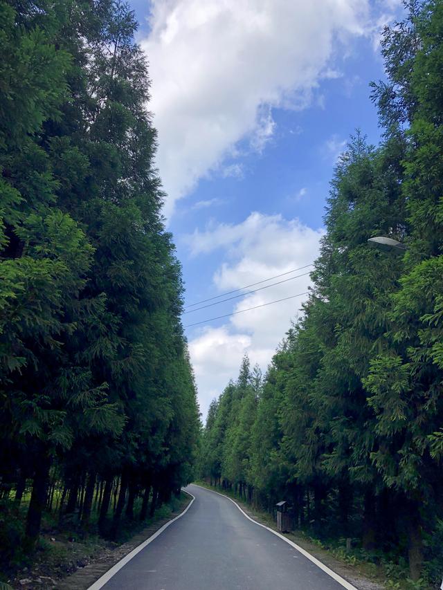 重庆周边竟有如此美景,仿佛在彩云之南