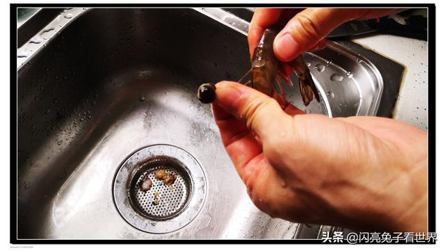 10种虾的做法，好吃营养不长肉，减脂强身，也是老人孩子的好食材