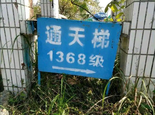 广东大峡谷天梯1398级台阶，80层楼高，再也不去了，腿现在还发抖