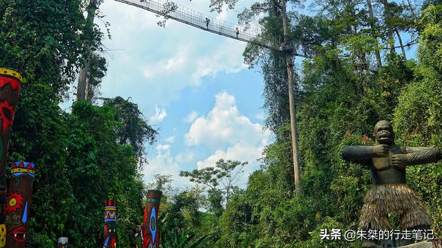 中国唯一被世界公认的热带雨林，为何是游客抬头看风景最多的地方